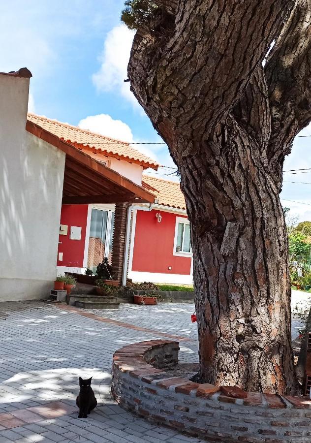 Casa De Campo A 5 Minutos Da Praia Atouguia Da Baleia Eksteriør billede